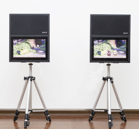 小兒行為測聽(tīng)專(zhuān)題——視覺(jué)強化測聽(tīng)(三)(圖1) 小兒行為測聽(tīng)專(zhuān)題——視覺(jué)強化測聽(tīng)(三)(圖1)